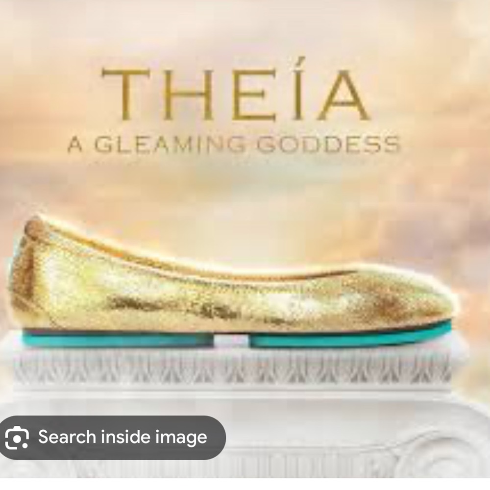 Tieks theia new in box size 10